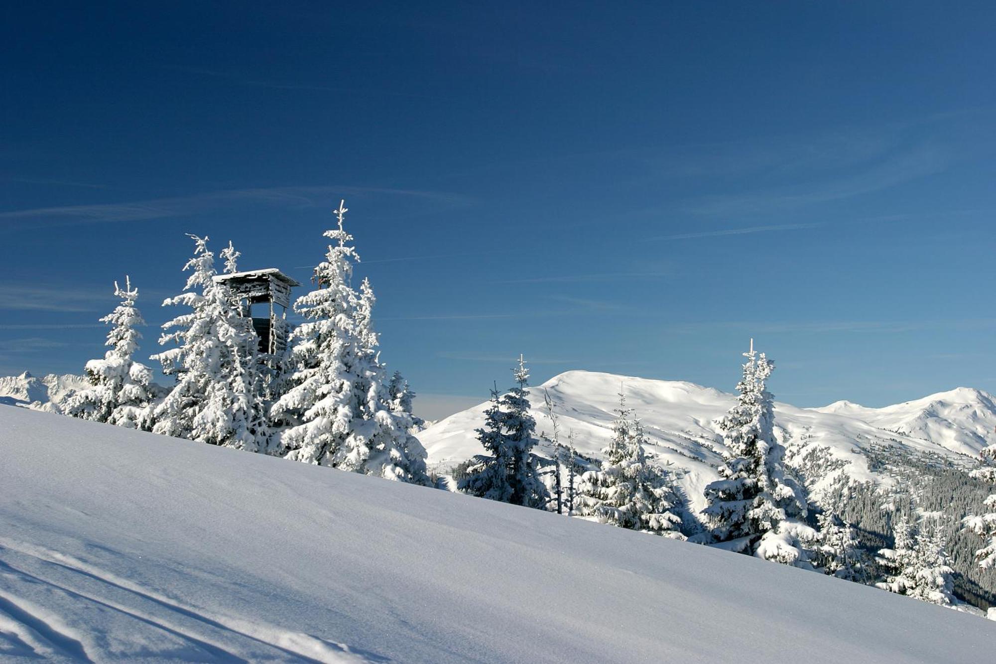 Hotel Dorfgasthof Schloesslstube Stuhlfelden Kültér fotó